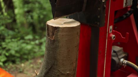 holzspaltmaschine, die holz im wald mit einem scharfen keil schneidet, nahaufnahme