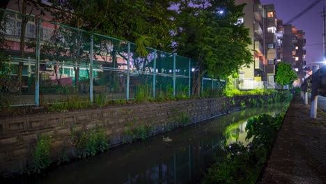 Luciérnagas-En-La-Ciudad-De-Moriyama,-Genji-botaru