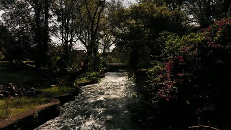 Aerial:-dolly-over-a-river-in-Mexico