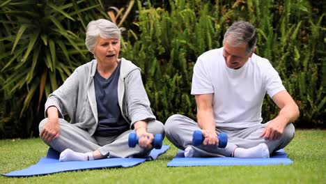 Dynamic-mature-couple-with-dumbbells