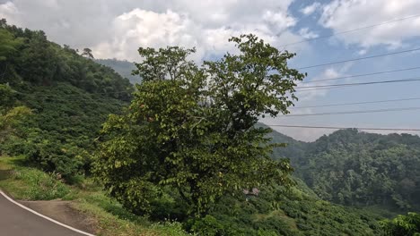 traveling through lush green mountainous landscape