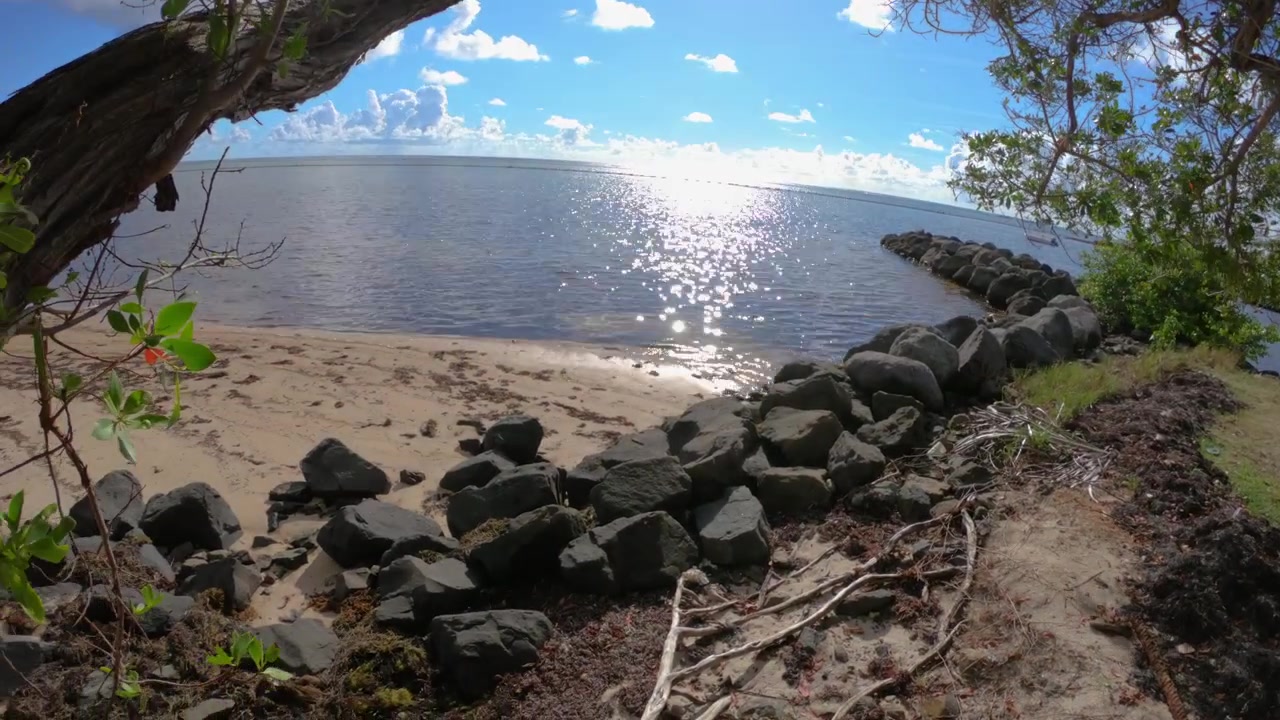 Film poklatkowy egzotycznej plaży na Martynice, Karaiby, Francja, obrót o 360 stopni w słoneczny dzień, nikogo na plaży
