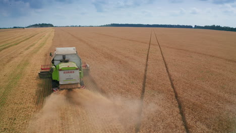 new light green combine harvester mowing the crops in the farmlands. chopped straw flies away from under the machine. approaching harvester from behind.