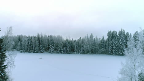 Ascender-Por-Encima-Del-Paisaje-Nuboso-En-El-Paisaje-Del-Bosque-Invernal,-Tiro-De-Transición