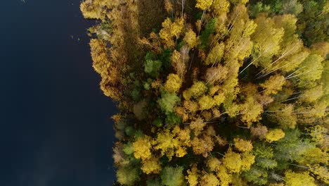 Rised-bog-aerial-wide-view-in-autumn-colors