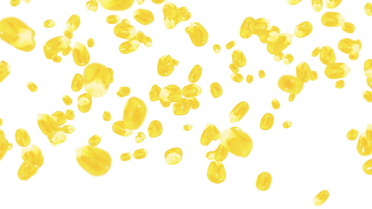 색 배경에 많은 옥수수 어리를 날려. 노란 달한 옥수스 씨. 채식주의자. 건강한 음식. 옥수수가 회전하는 3d 루프 애니메이션.