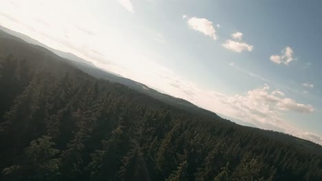 flying with fpv racing drone in the tree tops of a beautiful spruce forest in sihla, central slovakia