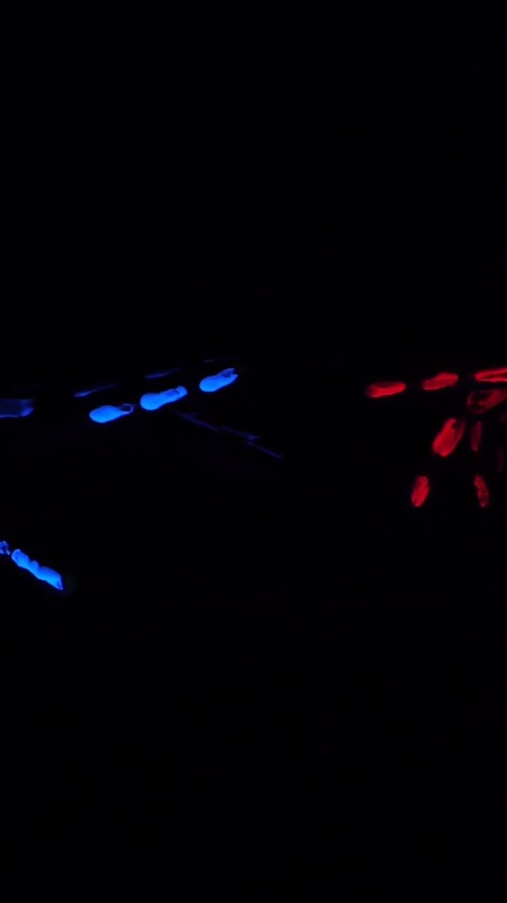 Impronte luminose blu e rosse su uno sfondo scuro