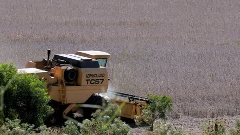 harvesting sorghum un a farm located in brazil