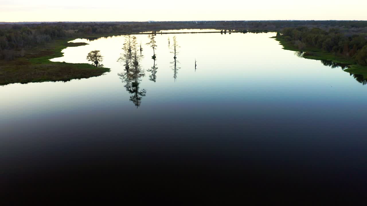 Cypress trees create striking silhouettes on the still waters of Lake Hancock at dusk. This serene scene is ideal for nature documentaries or environmental features