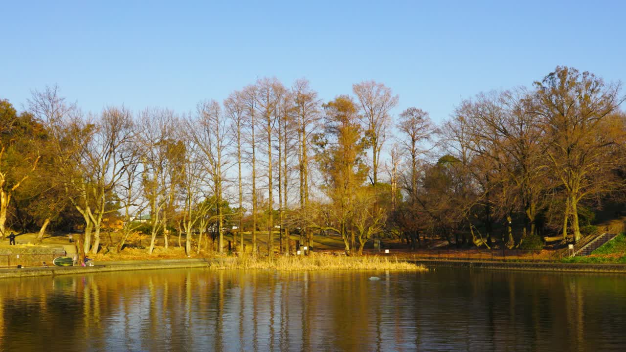 오사카의 아름다운 공원