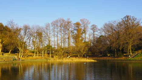 the beautiful park in osaka