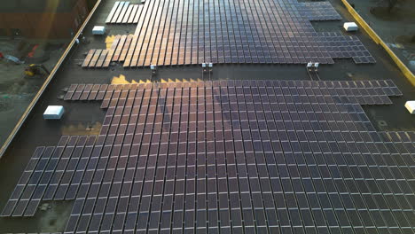A rooftop with an extensive array of solar panels under soft sunlight, promoting sustainability