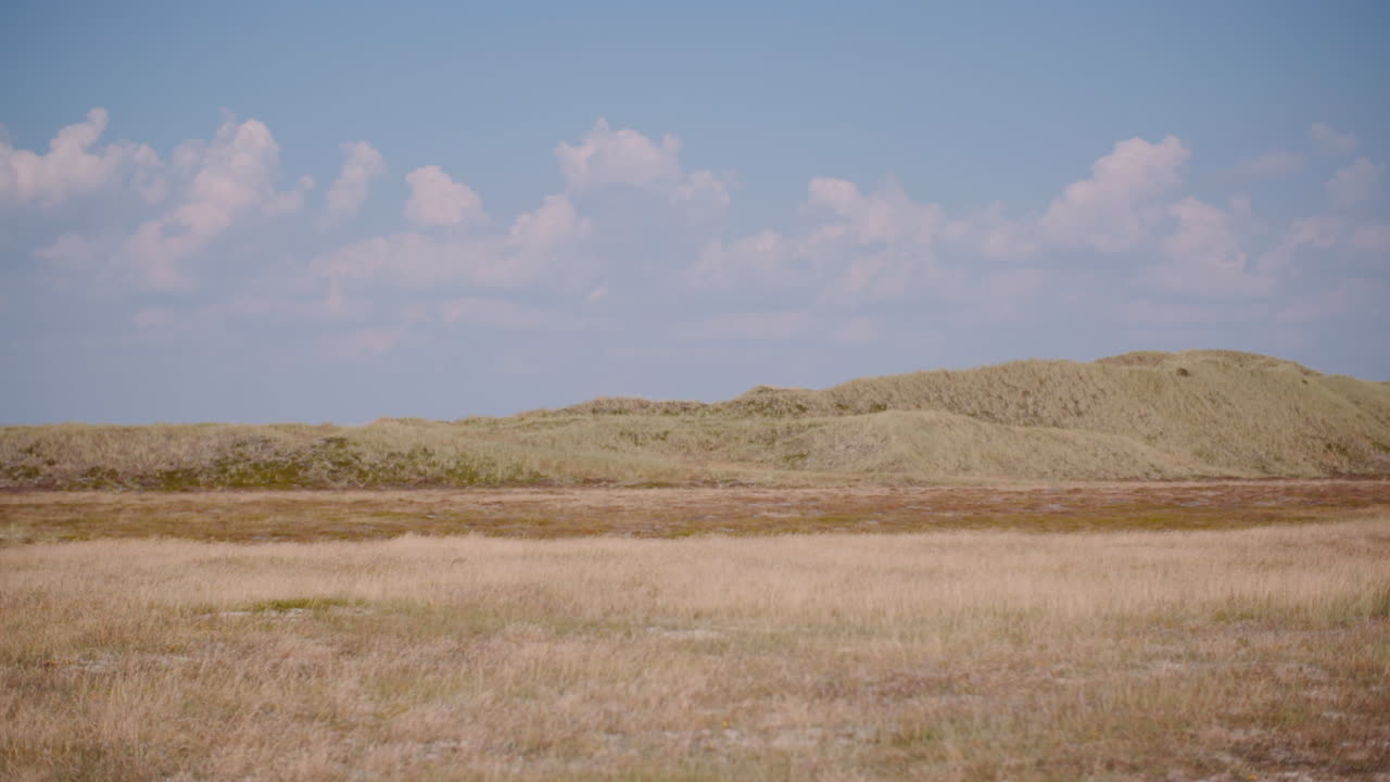Sandklitter og tør græsmark under blå himmel