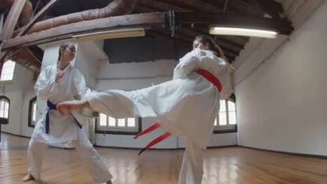 side view of cheerful martial artists practicing karate in gym