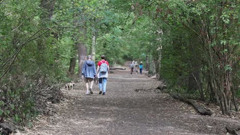 people enjoy beautiful day while walking on forest pathway, slow motion back view