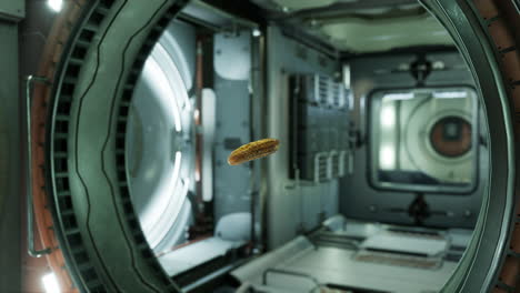 marinated-pickled-cucumber-floating-in-internation-space-station