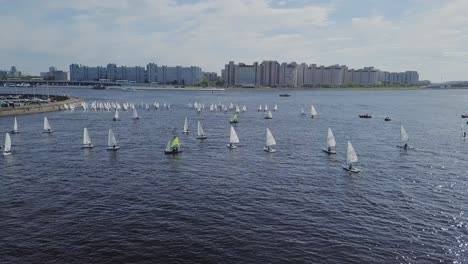 yachts sailing in a city bay next to a bridge and summer sun, white ripples on a water