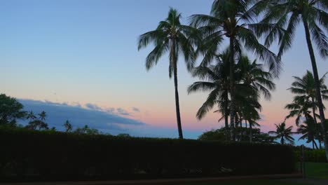 A-tropical-island-sunset-background