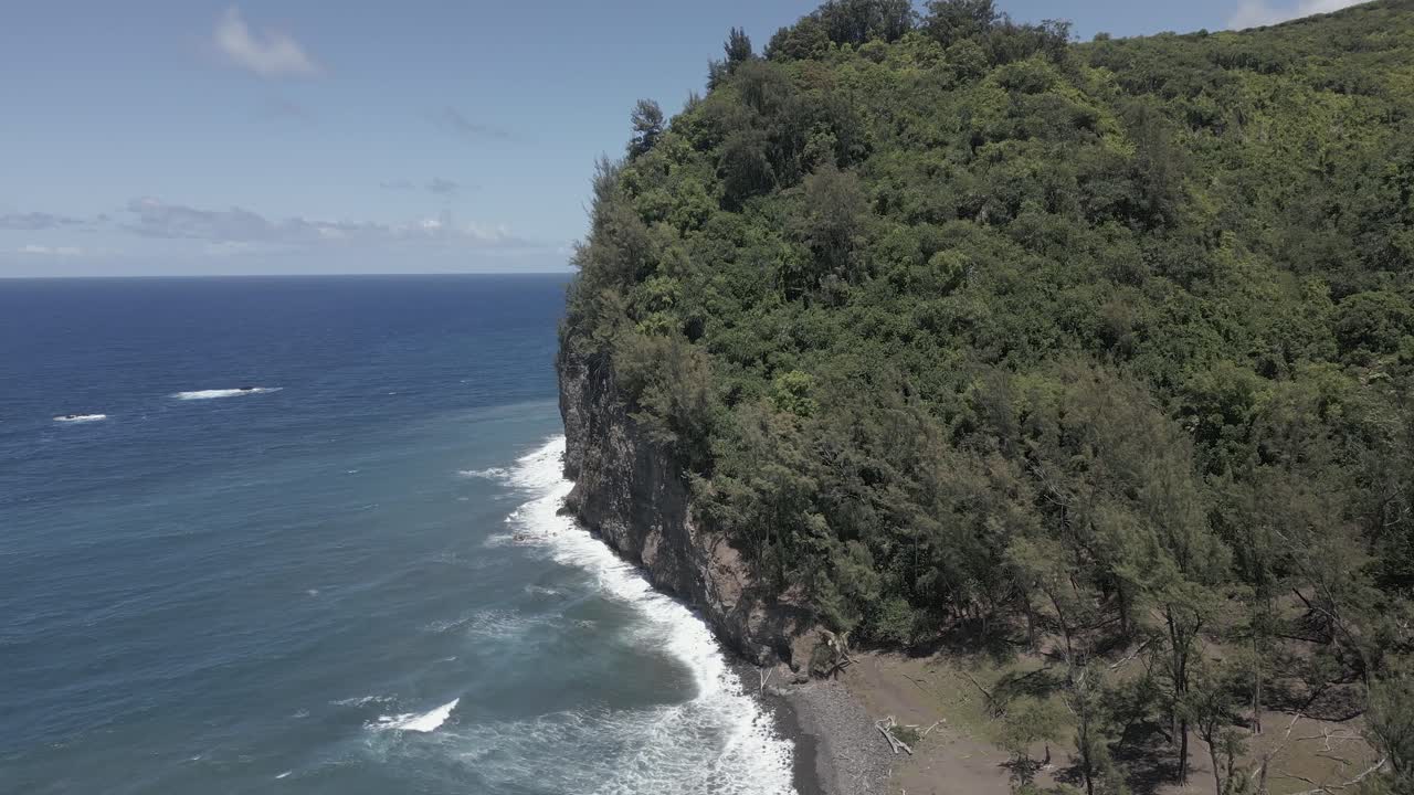 remoto paso aéreo de la playa: las olas del océano rompen en el alto y empinado acantilado de la selva