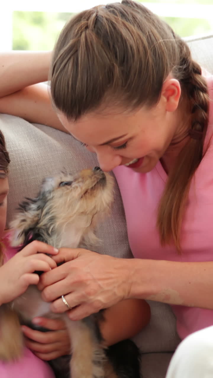 una niña linda con su madre jugando con un cachorro de yorkshire terrier