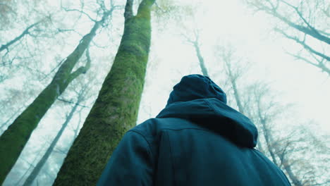 elderly man looks at a tall, slender tree in the winter mountains