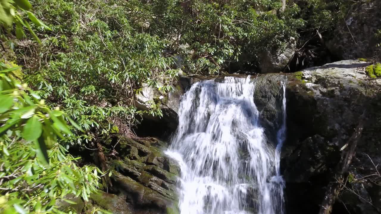 empuje aéreo a través de los rododendros que revelan una cascada oculta a lo largo de la cresta de las montañas blue ridge
