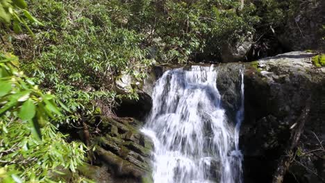 Empuje-Aéreo-A-Través-De-Los-Rododendros-Que-Revelan-Una-Cascada-Oculta-A-Lo-Largo-De-La-Cresta-De-Las-Montañas-Blue-Ridge