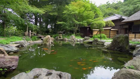 the fountains with water, koi fish and stone design is something typically japanese