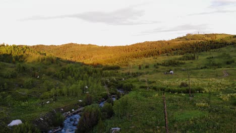 Aerial-shot-of-a-river-in-the-woods-of-the-Grand-Teton-Park