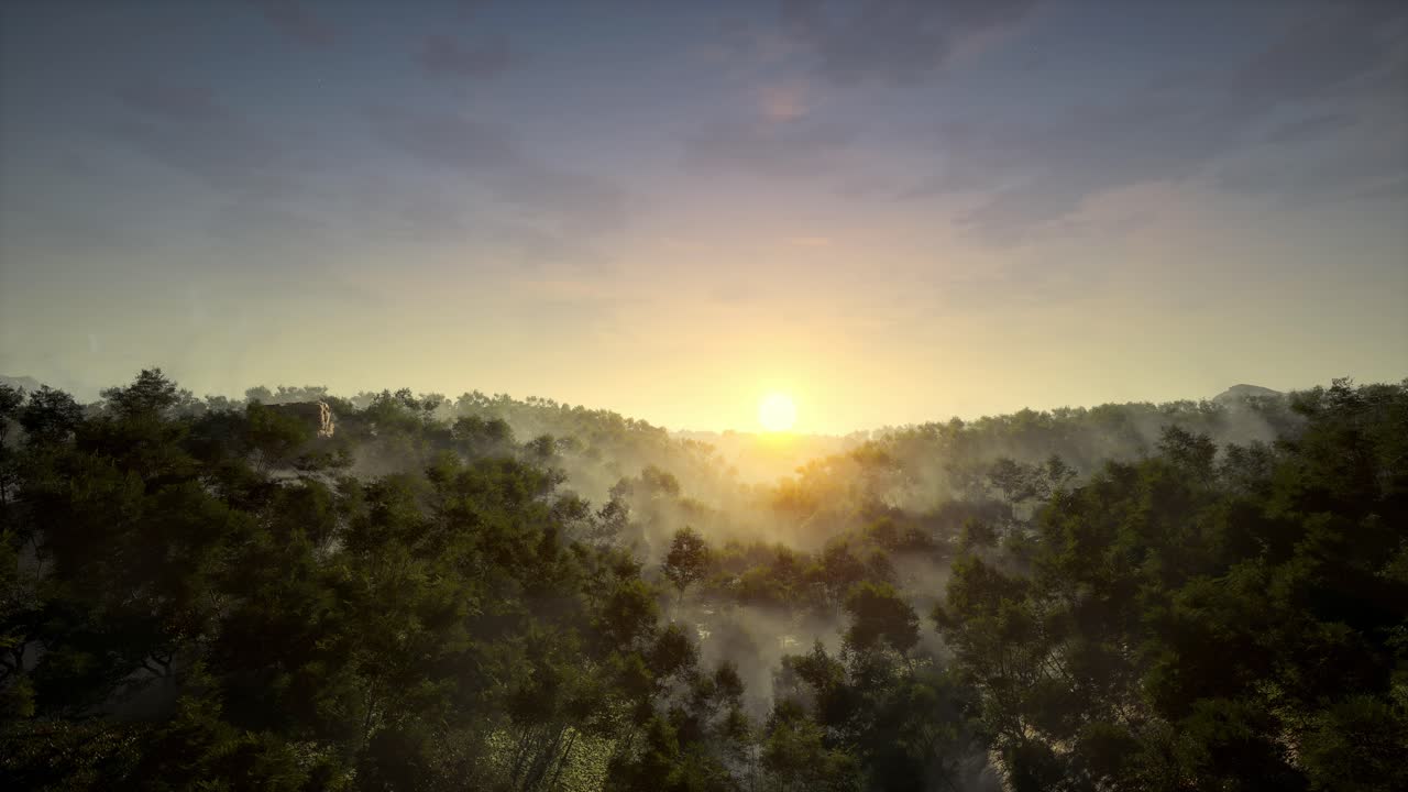 El amanecer sobre un bosque de niebla