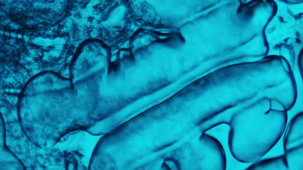 Fondo microscópico abstracto y líquido de color azul vibrante