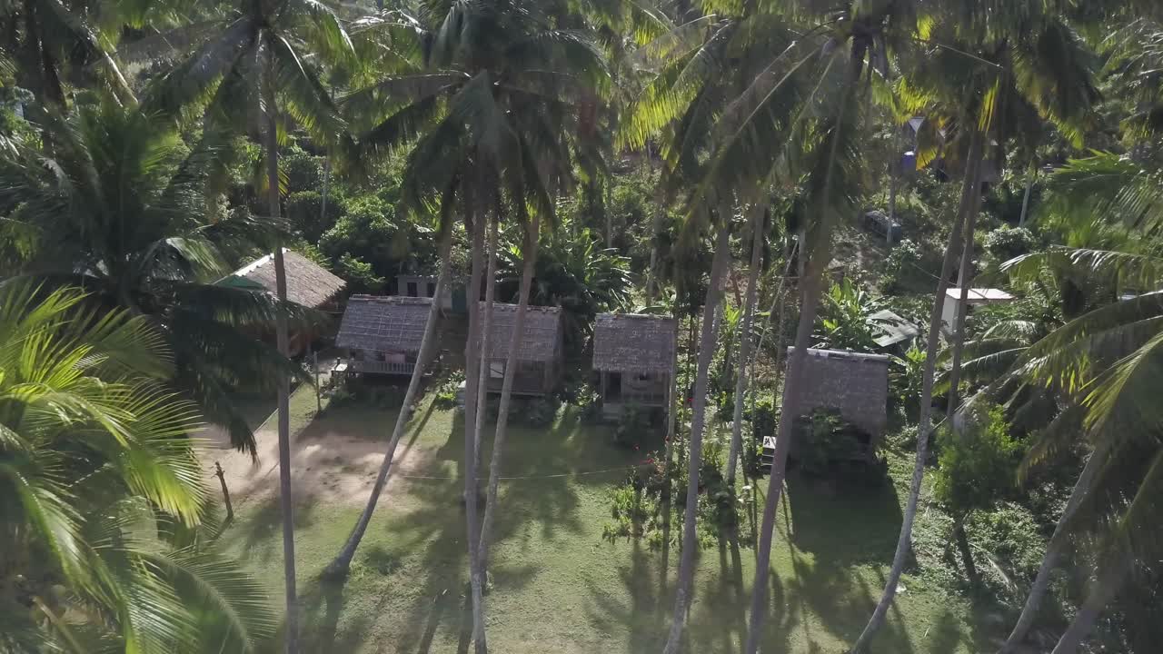 Tropical Landscape with Palm Trees and Houses