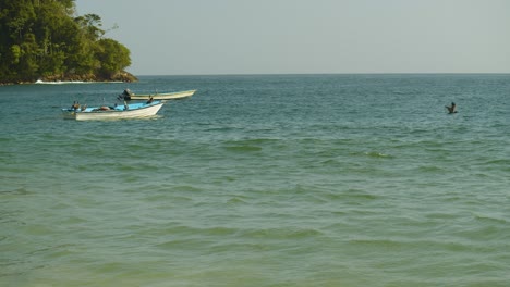 Pájaros-En-Un-Barco-De-Pesca-En-Cámara-Lenta