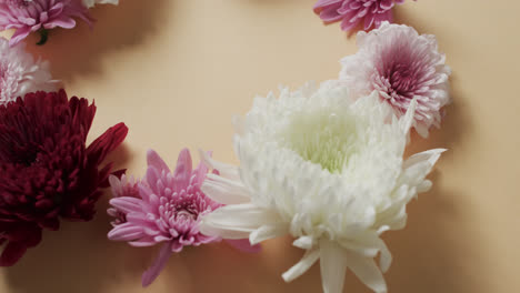 video of white, red and pink flowers in circle and copy space on yellow background