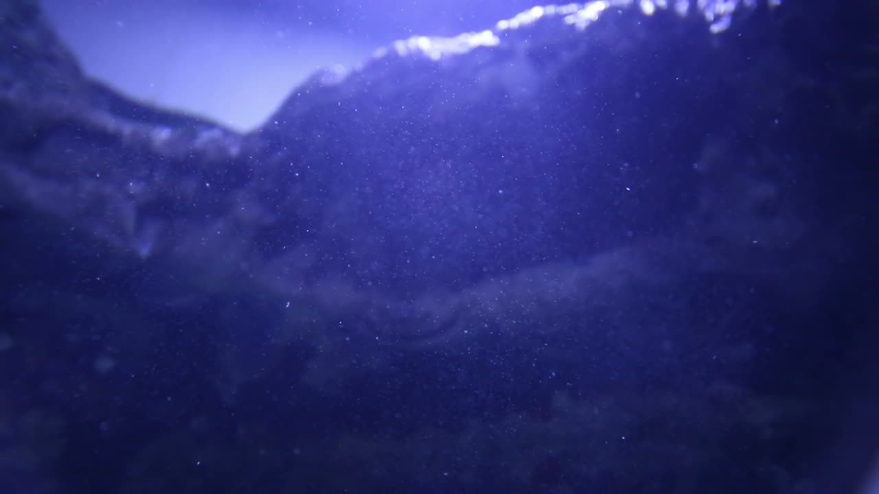 발렌시아 수족관 44