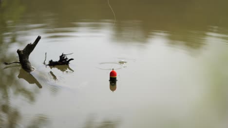 Der-Anglerschwimmer-Wird-In-Den-Trüben-See-Geworfen-Und-Bildet-Kleine-Wellen