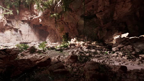 las hojas de helecho cuelgan verticalmente hacia abajo sobre la entrada de una antigua cueva de piedra