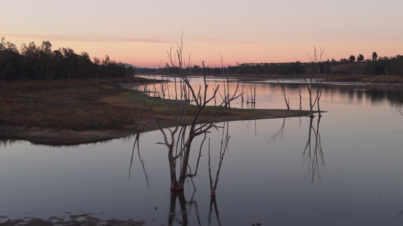 Silhuet af træer ved reservoir i Californien. Otay Lakes i Chula Vista, Californien, langsom dronekredsen ved solopgang