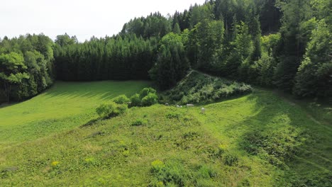 Bosque-Desde-Arriba-En-Semmering,-Austria,-Cerca-Del-Sitio-Declarado-Patrimonio-De-La-Humanidad-Por-La-UNESCO-En-El-Ferrocarril-De-Semmering-En-Austria-4k,-Filmado-Con-Drones