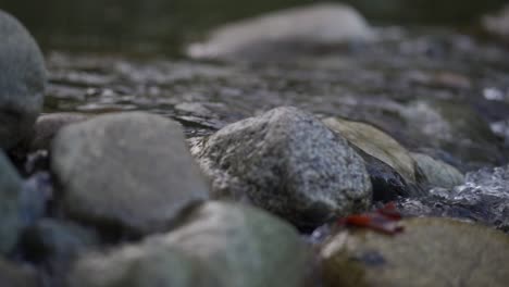 water flowing over rocks in stream