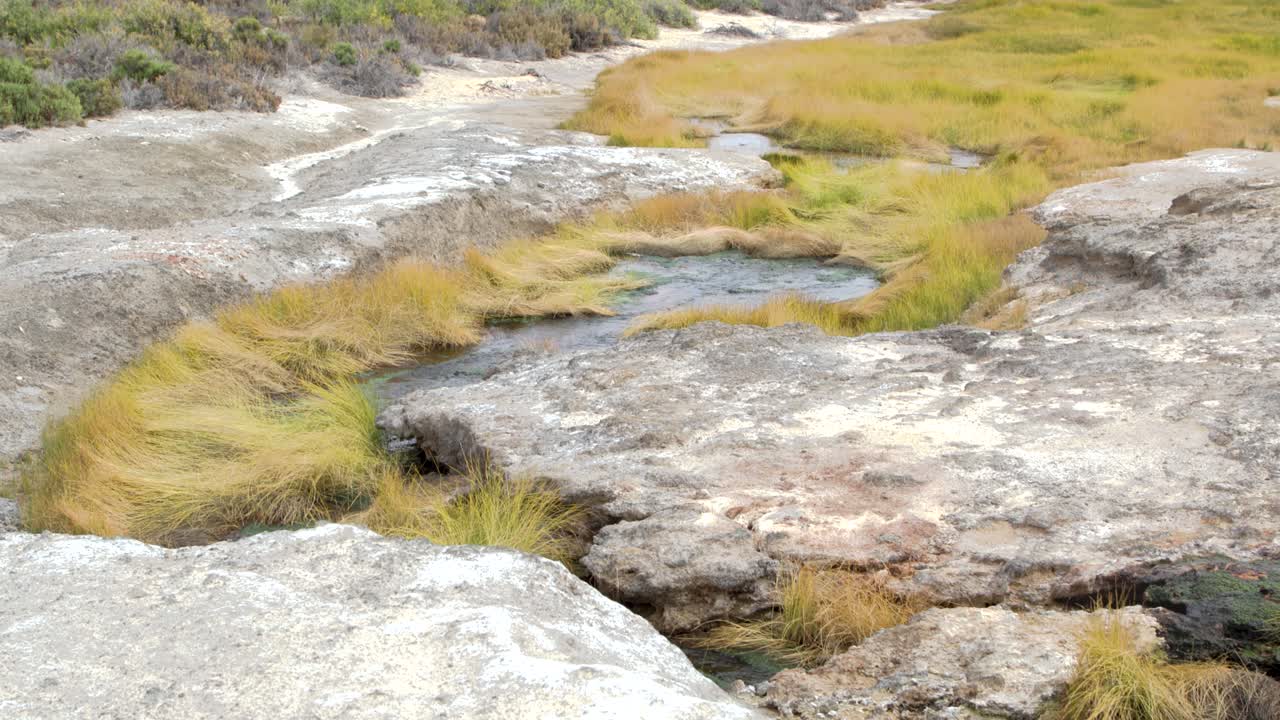 el resorte artesiano burbujeador - 100fps 4k