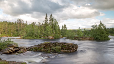 norway rapids fern 4k 02