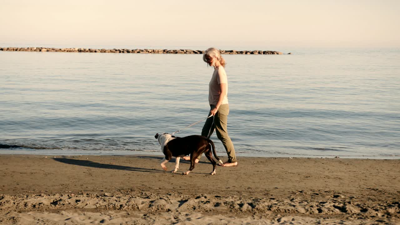 성숙 한 여자 가 해가 지는 동안 개 와 함께 해변 에서 고 있다