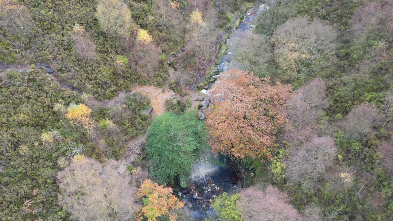 무어랜드 장면을 가로질러 날아다니는 강의 드론 영상