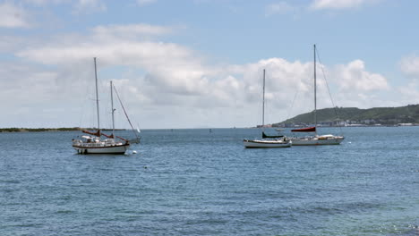 sailboats docked and anchored in the sea