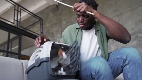 cat inside a carrier