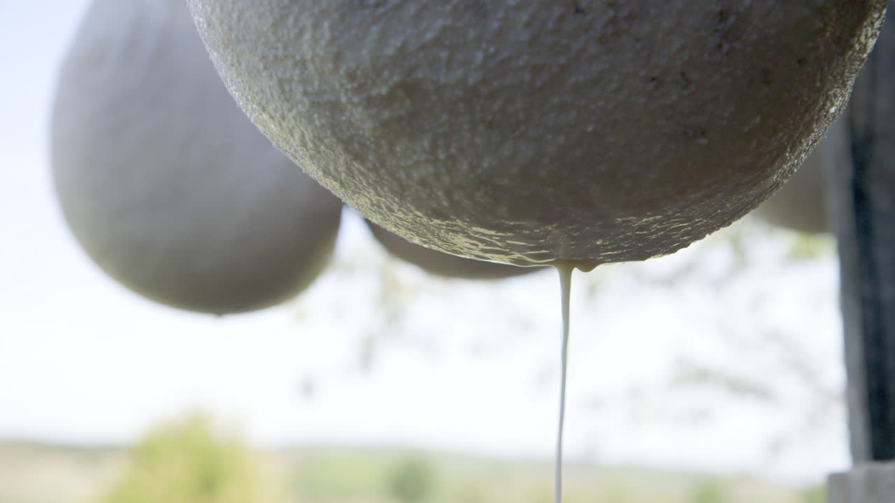 elaboración de queso: el queso se deja escurrir a través del material colgante