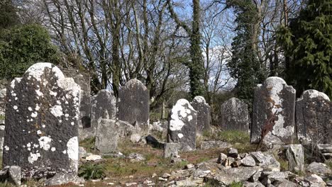 Alter-Irischer-Hungersnotfriedhof,-Sehr-Alte-Grabsteine-An-Einem-Apriltag