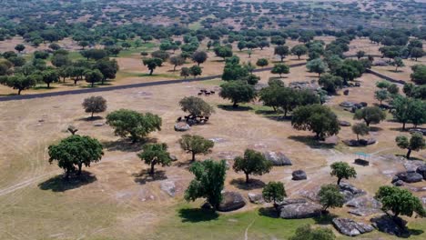 Bulls-farm-seen-from-the-air